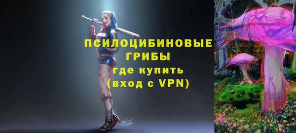 СК Абинск