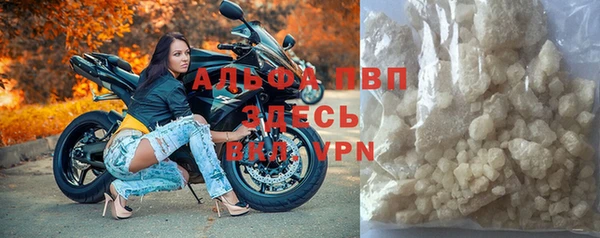 СК Абинск