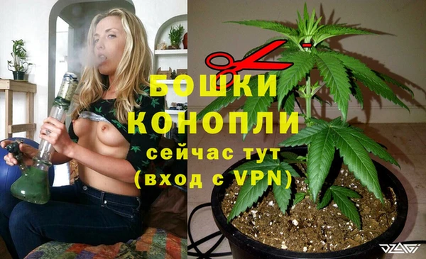 дурь Нягань