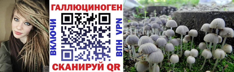 Галлюциногенные грибы Magic Shrooms где продают Таганрог