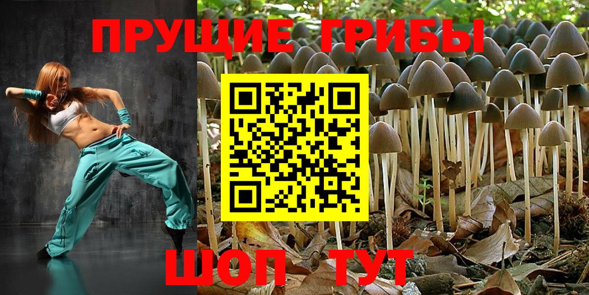Галлюциногенные грибы Psilocybe Таганрог