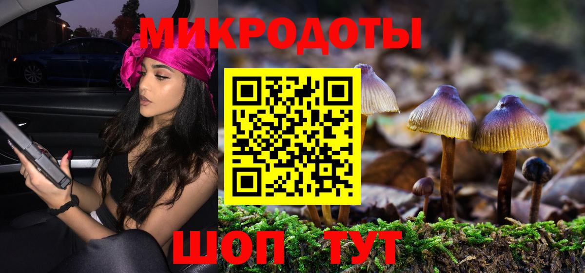 Таганрог  Псилоцибиновые грибы Psilocybe  Вход с VPN 